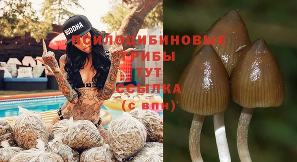 PSILOCYBIN Карпинск