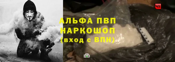 PSILOCYBIN Карпинск