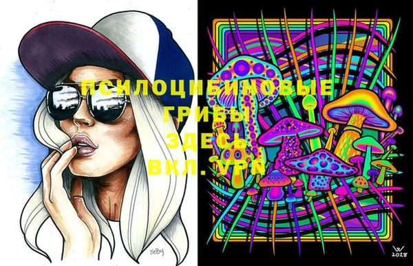 PSILOCYBIN Карпинск