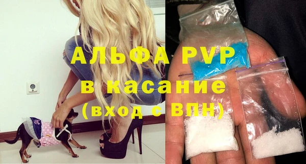 PSILOCYBIN Карпинск
