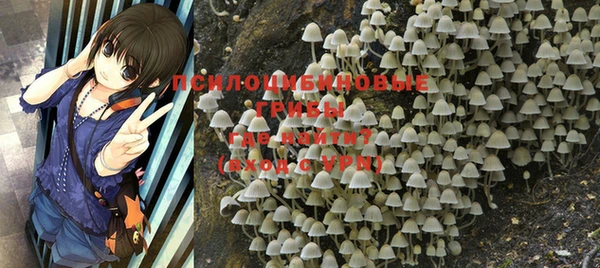 кокс Карталы